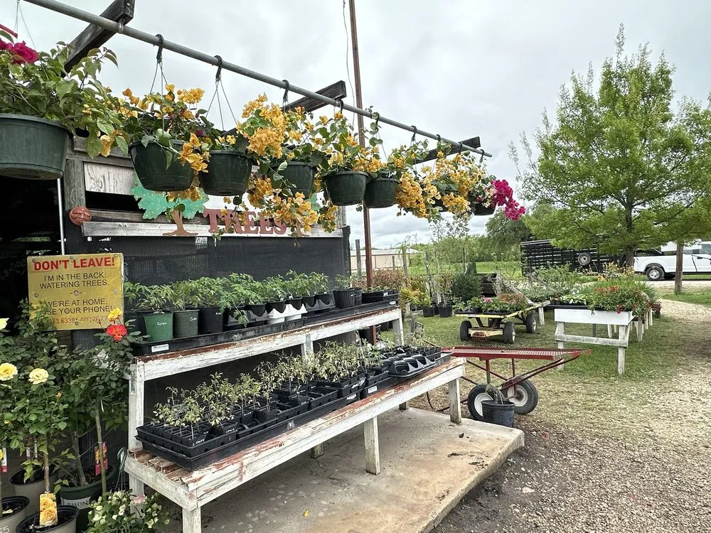 Local yard maintenance for residential properties across Castroville, TX - Vernon's Tree Farm