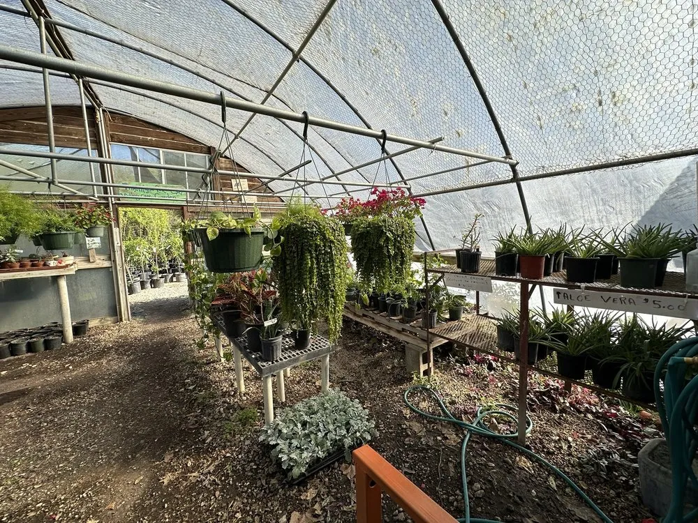 Professional lawn mowing service for year-round maintenance across Castroville, TX - Vernon's Tree Farm