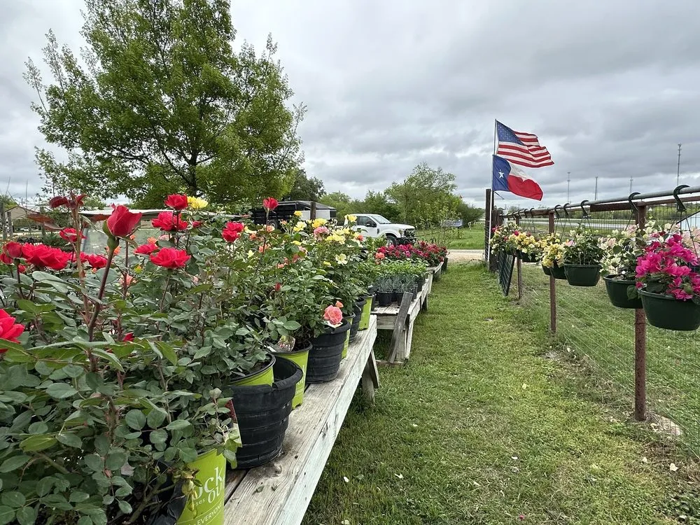 Reliable residential landscaping experts serving Castroville, TX - Vernon's Tree Farm