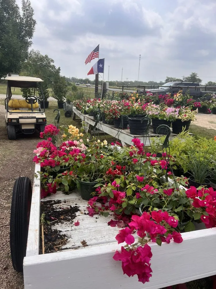 Reliable outdoor landscaping in Castroville, TX by Vernon's Tree Farm