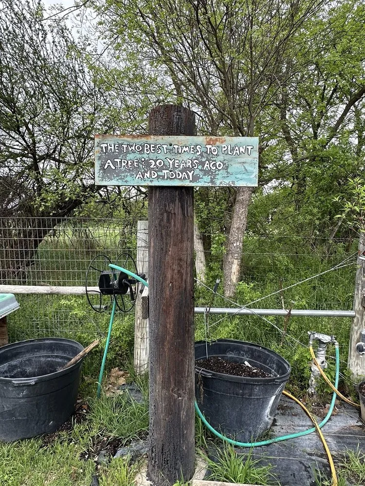 Top-rated residential landscaping in Castroville, TX - Vernon's Tree Farm