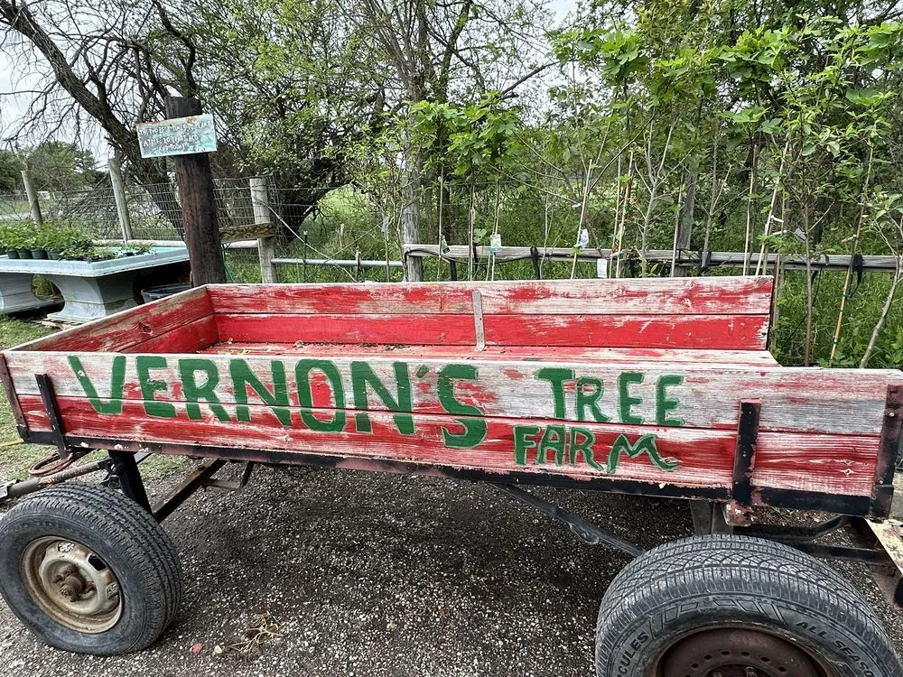 Reliable landscaping services in Castroville, TX by Vernon's Tree Farm