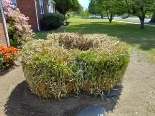 Custom landscaping services experts serving Richmond, VA - Vern’s Affordable Lawn Care