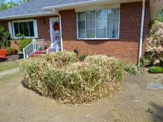 Local outdoor landscaping in Richmond, VA by Vern’s Affordable Lawn Care