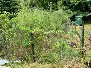 Top-rated lawn care service in Richmond, VA - Vern’s Affordable Lawn Care