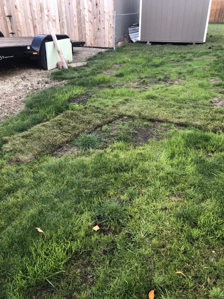 Trusted yard maintenance experts serving Hamilton, MT - Vern's Landscape