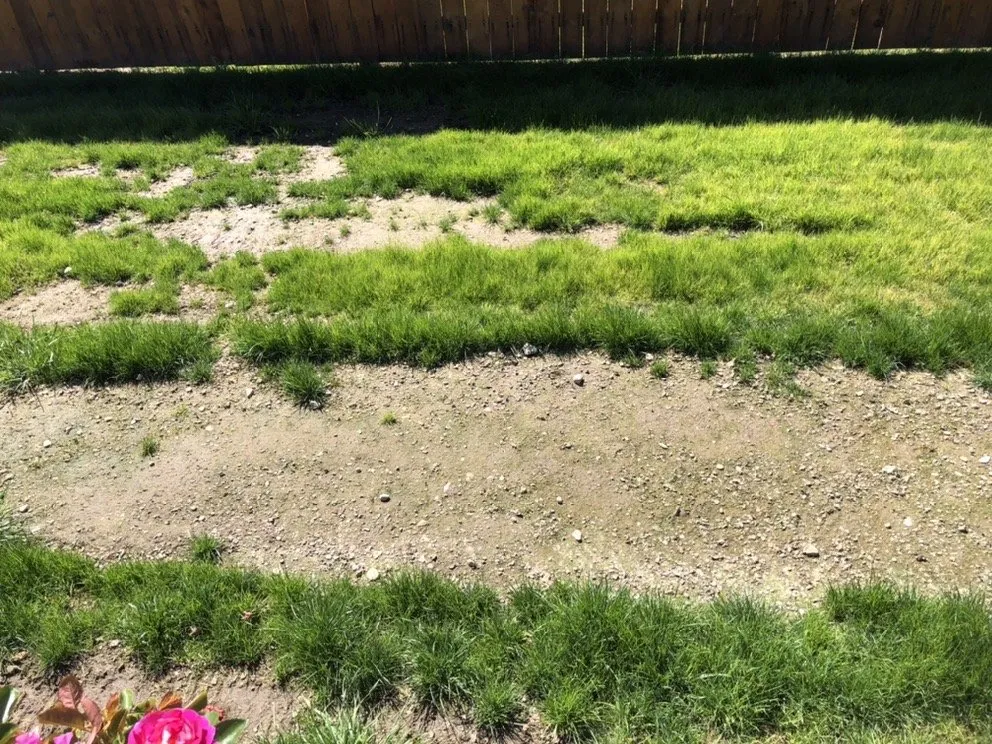 Custom yard cleanup service with custom design in Hamilton, MT by Vern's Landscape