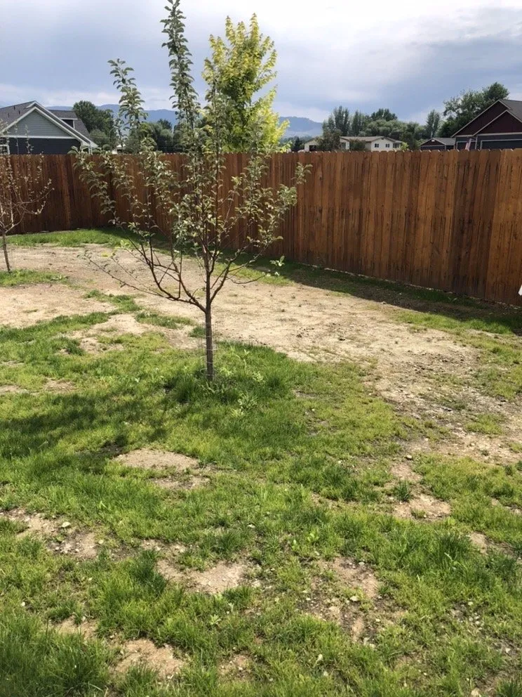 Top-rated lawn mowing service in Hamilton, MT by Vern's Landscape