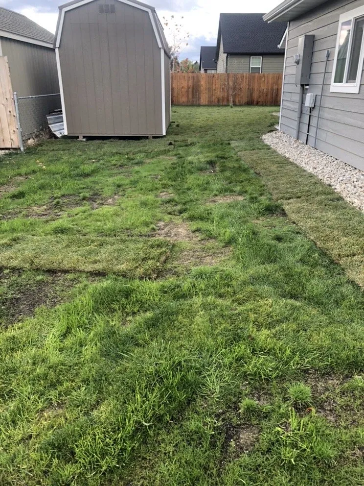 Top-rated lawn mowing service in Hamilton, MT - Vern's Landscape