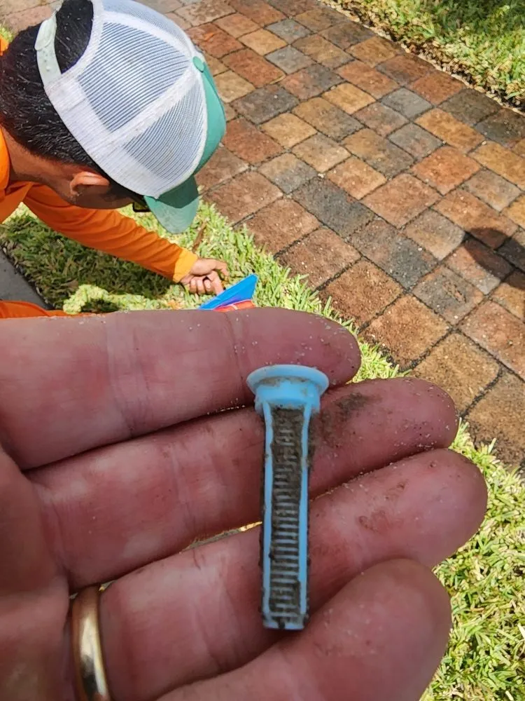 Custom garden landscaping for homes in Vero Beach, FL by Vero Beach Classic Landscapes