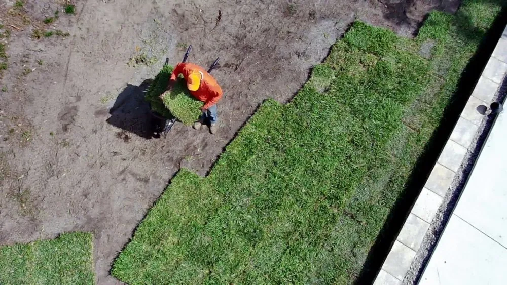 Trusted yard cleanup service with custom design in Vero Beach, FL by Vero Beach Classic Landscapes