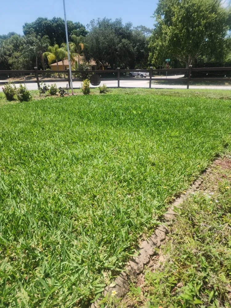 Professional lawn care service for beautiful yards across Vero Beach, FL - Vero Beach Classic Landscapes