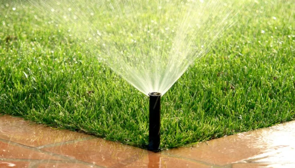 Top-rated garden landscaping with custom design in Vero Beach, FL by Vero Beach Classic Landscapes