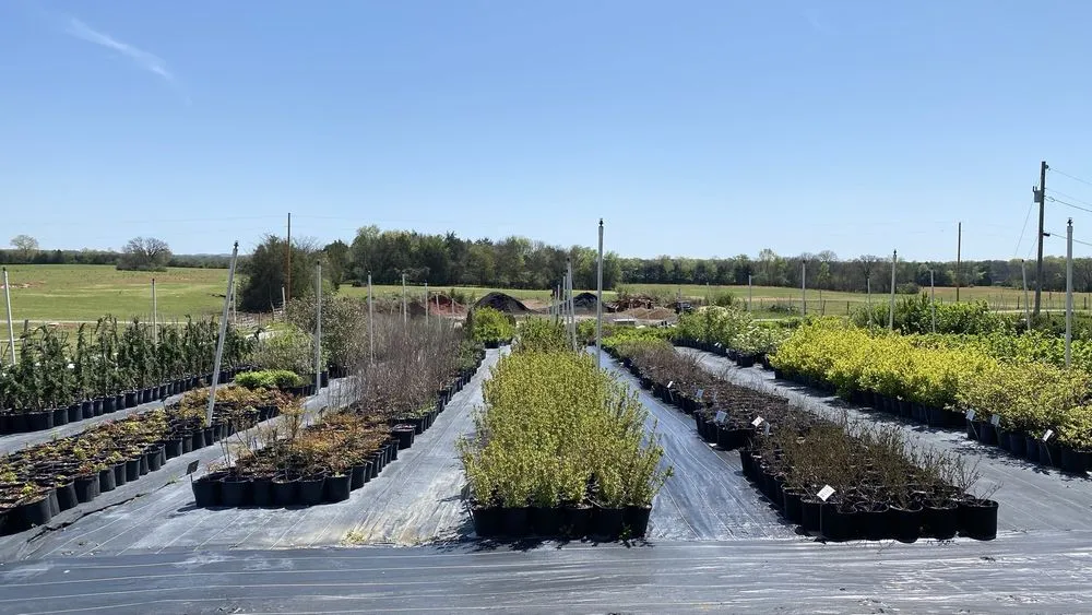 Top-rated landscape installation in Lewisburg, TN by Verona Caney Gardens & Landscaping