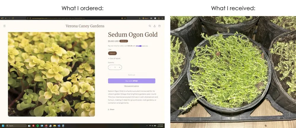 Custom yard maintenance near you in Lewisburg, TN by Verona Caney Gardens & Landscaping