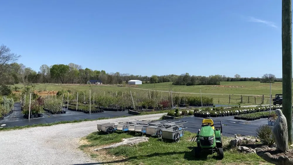 Custom landscape design in Lewisburg, TN by Verona Caney Gardens & Landscaping