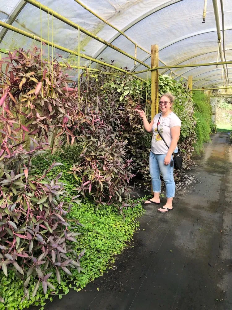 Affordable lawn care service for beautiful yards across Lewisburg, TN - Verona Caney Gardens & Landscaping