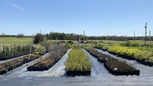 Verona Caney Gardens & Landscaping