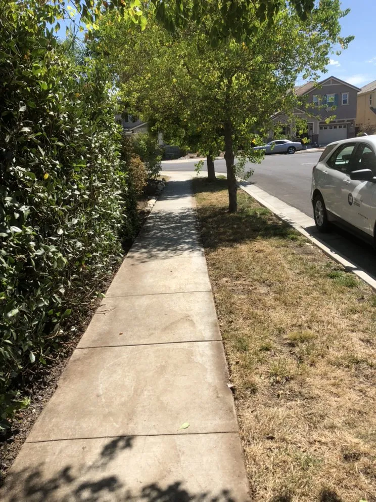 Local garden landscaping in Woodland, CA by Veronica's Landscaping