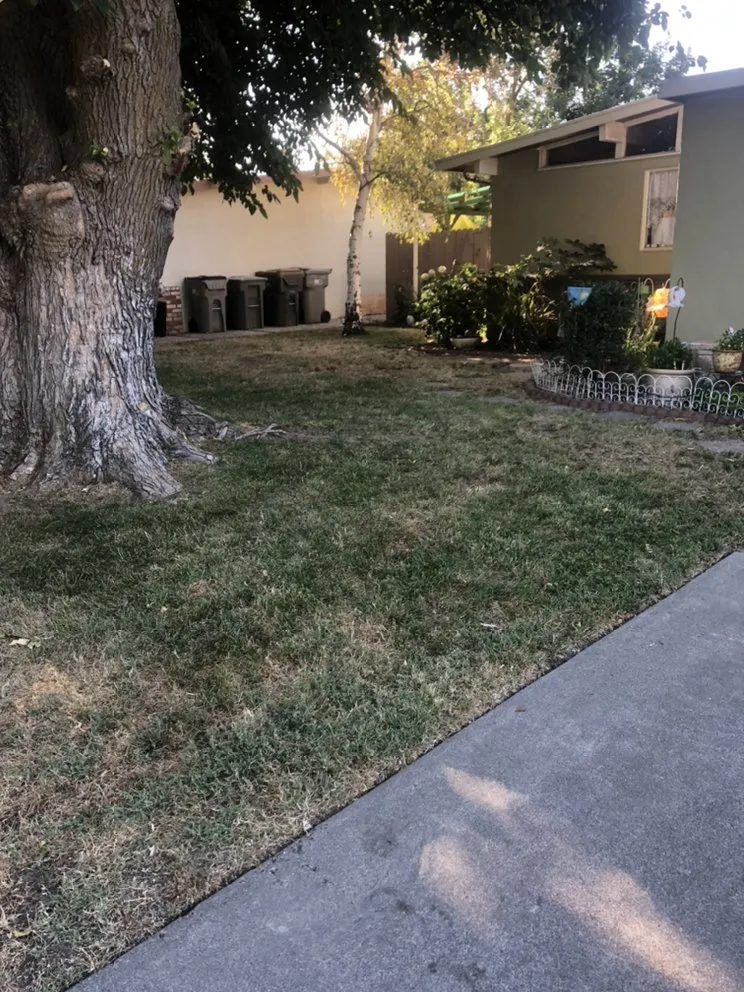 Professional landscape installation for year-round maintenance across Woodland, CA - Veronica's Landscaping