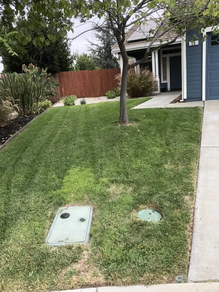 Local landscape installation in Woodland, CA by Veronica's Landscaping