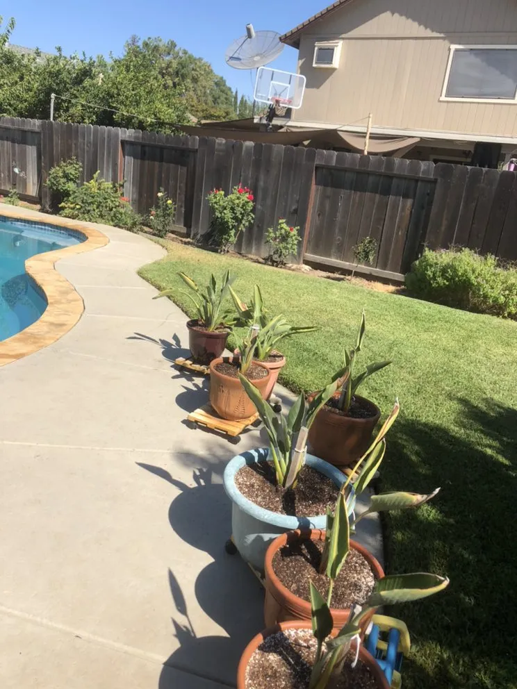 Trusted yard cleanup service for beautiful yards across Woodland, CA - Veronica's Landscaping