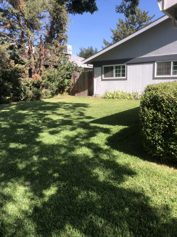 Professional outdoor landscaping with custom design in Woodland, CA by Veronica's Landscaping