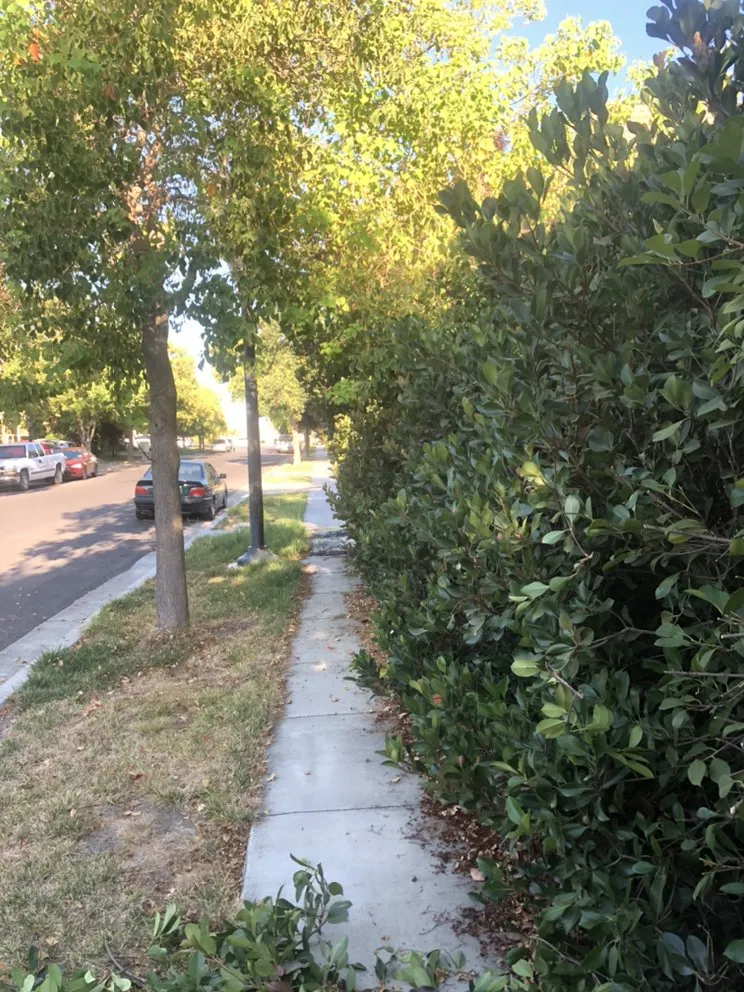 Custom garden landscaping for residential properties in Woodland, CA by Veronica's Landscaping