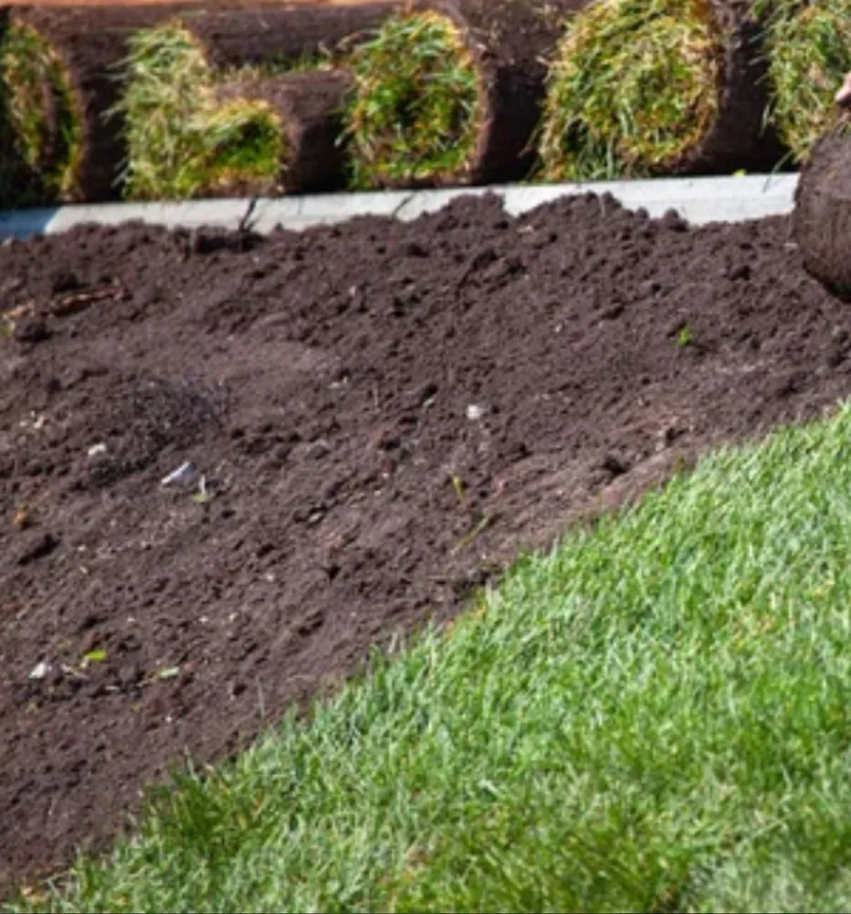 Reliable landscape design in Fredericksburg, VA - Vero’s Fresh Sod