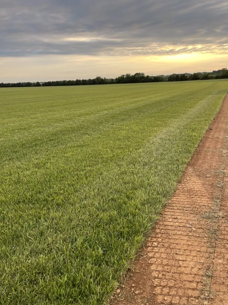 Reliable yard cleanup service in Fredericksburg, VA - Vero’s Fresh Sod