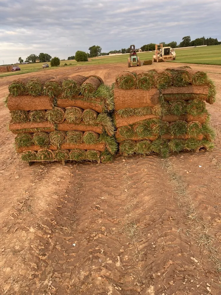 Affordable yard cleanup service in Fredericksburg, VA by Vero’s Fresh Sod
