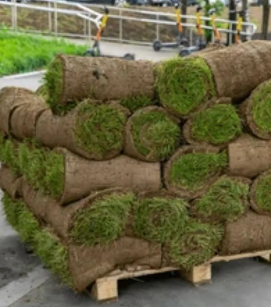 Professional yard maintenance for beautiful yards in Fredericksburg, VA by Vero’s Fresh Sod