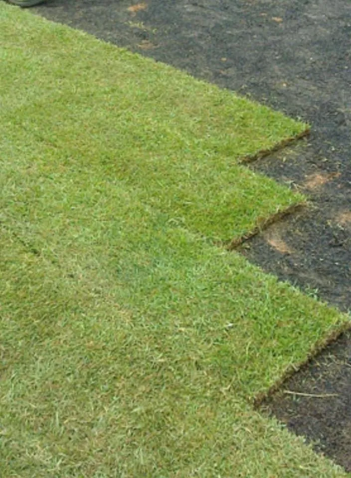 Local landscape installation experts serving Fredericksburg, VA - Vero’s Fresh Sod