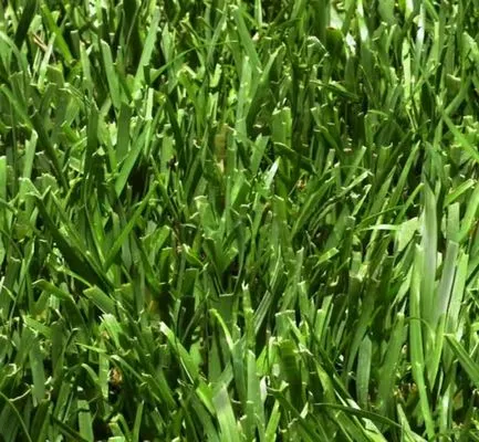 Vero’s Fresh Sod Logo