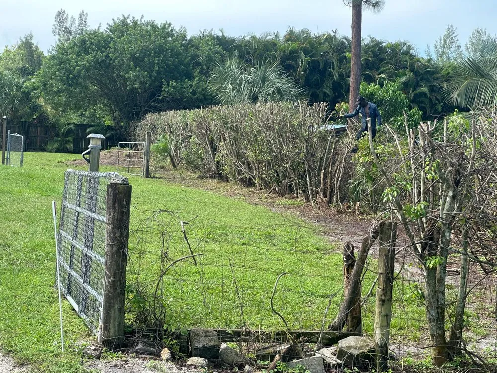 Custom residential landscaping in Lake Park, FL by Verry Fast Landscaping