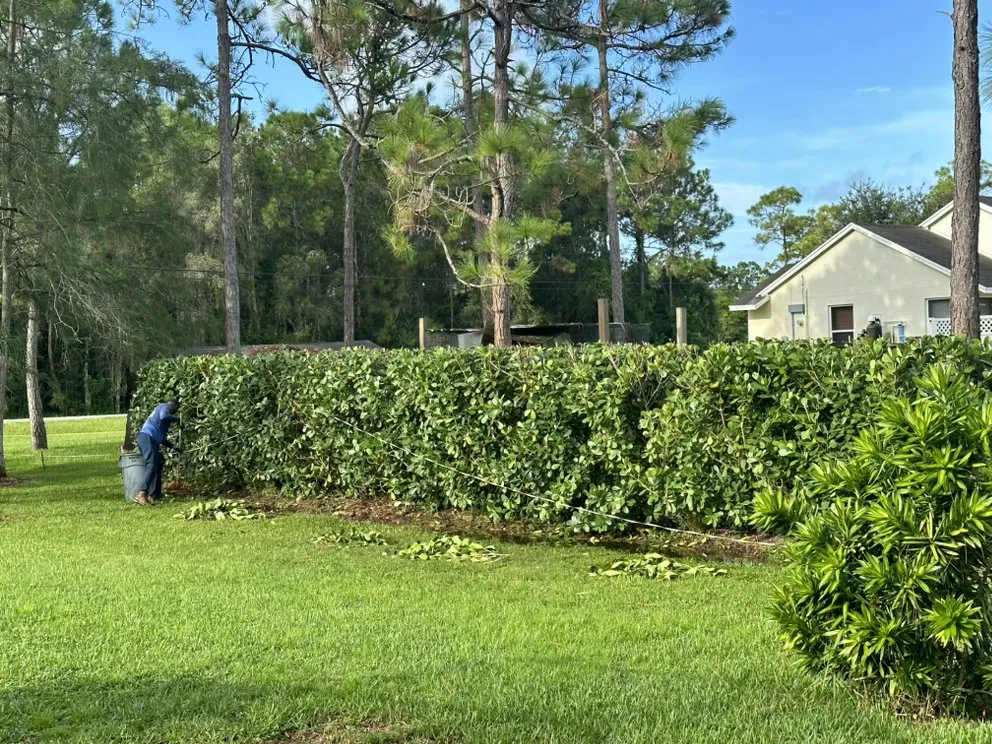 Local yard cleanup service for homes in Lake Park, FL by Verry Fast Landscaping