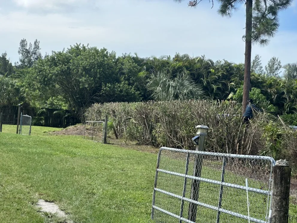 Custom landscape design in Lake Park, FL - Verry Fast Landscaping