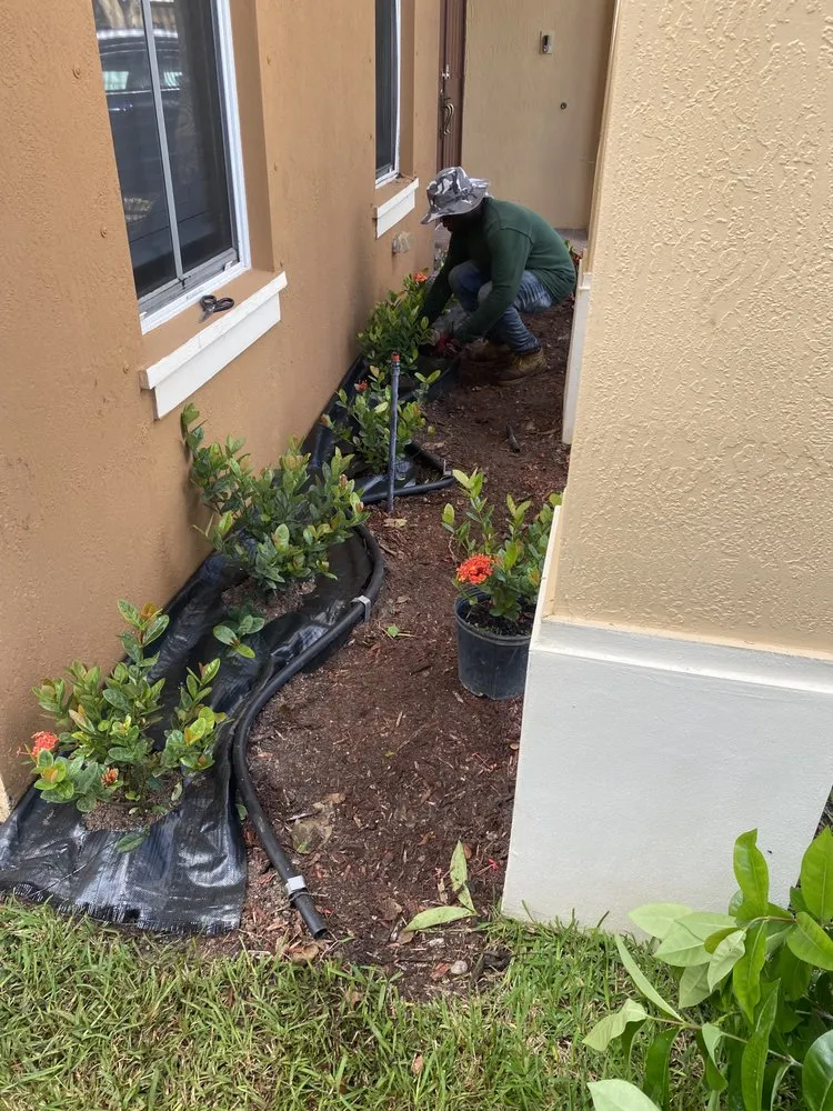 Top-rated landscape installation for beautiful yards in Lake Park, FL by Verry Fast Landscaping