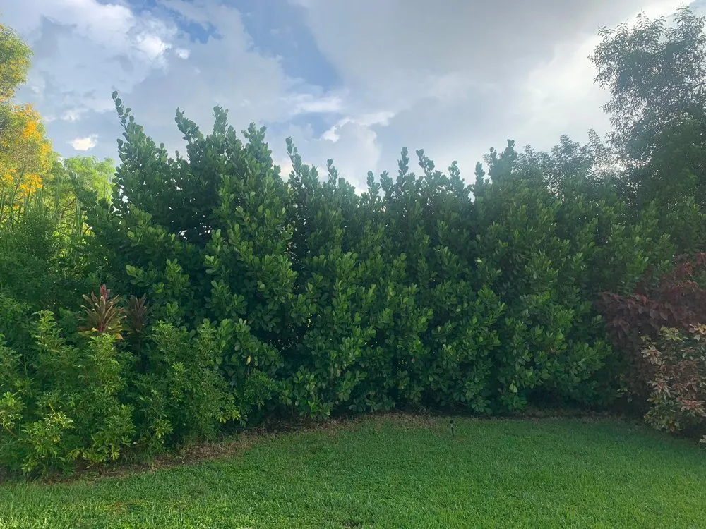 Trusted landscape design for outdoor upgrades in Lake Park, FL by Verry Fast Landscaping