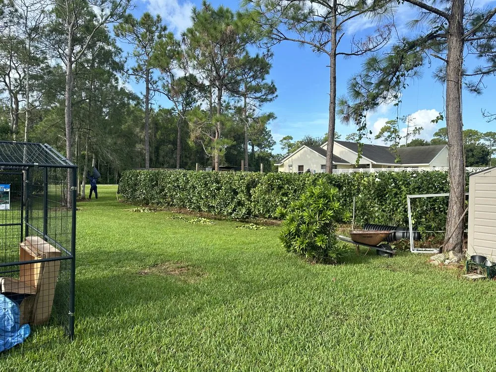 Custom yard maintenance for outdoor upgrades across Lake Park, FL - Verry Fast Landscaping