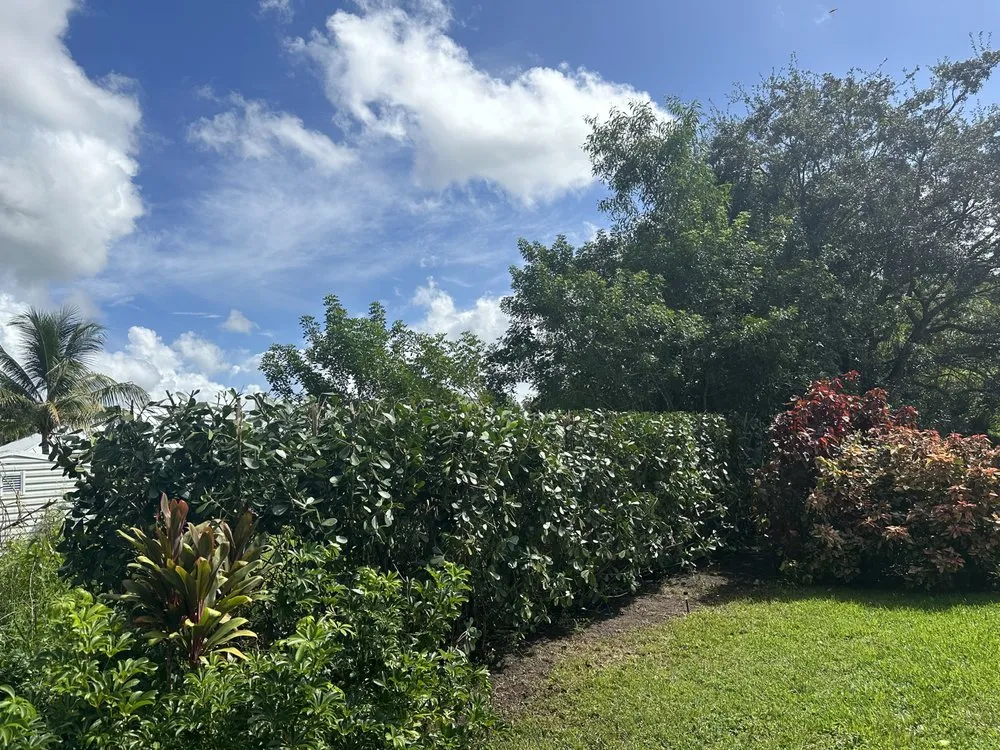 Top-rated yard cleanup service for residential properties across Lake Park, FL - Verry Fast Landscaping