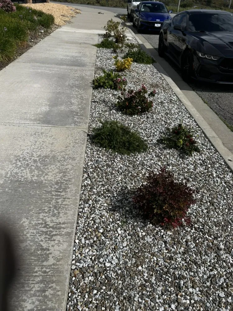 Reliable landscaping services in Rialto, CA by Versatile Establishment LLC