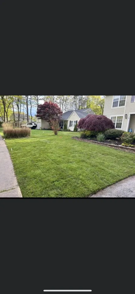 Local landscaping services in Rialto, CA by Versatile Establishment LLC