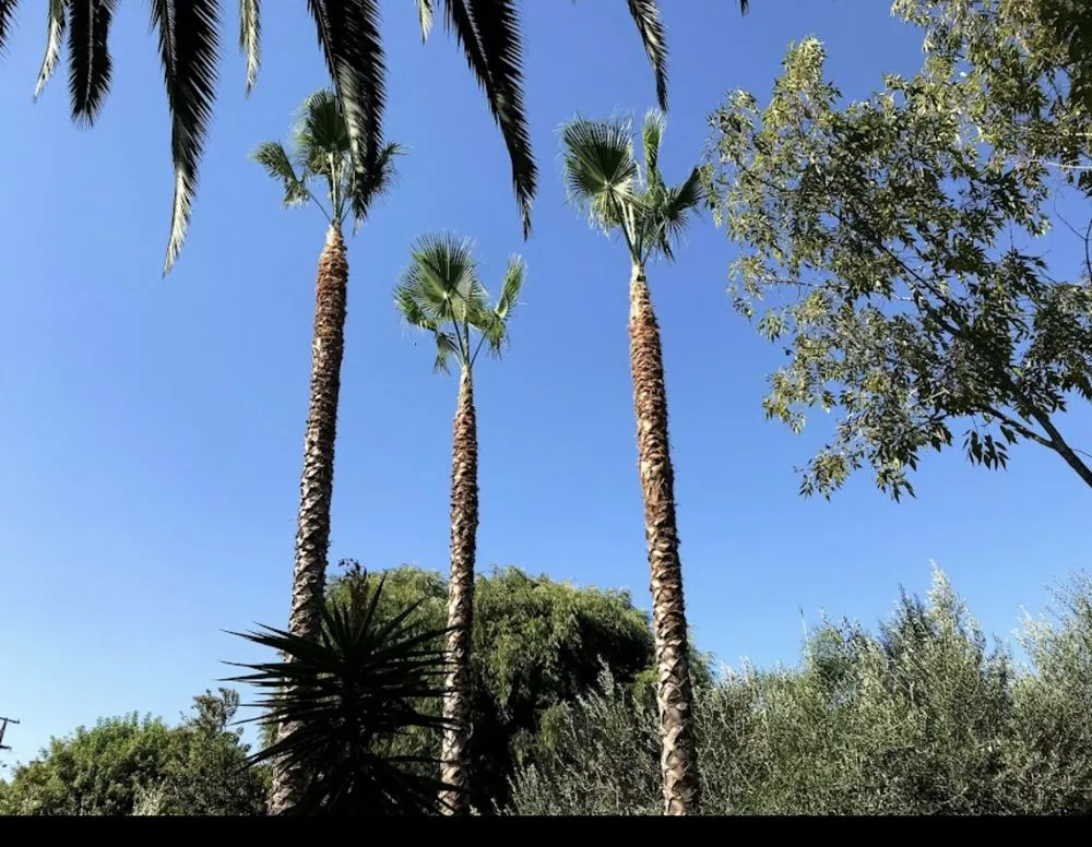 Local garden landscaping experts serving Rialto, CA - Versatile Establishment