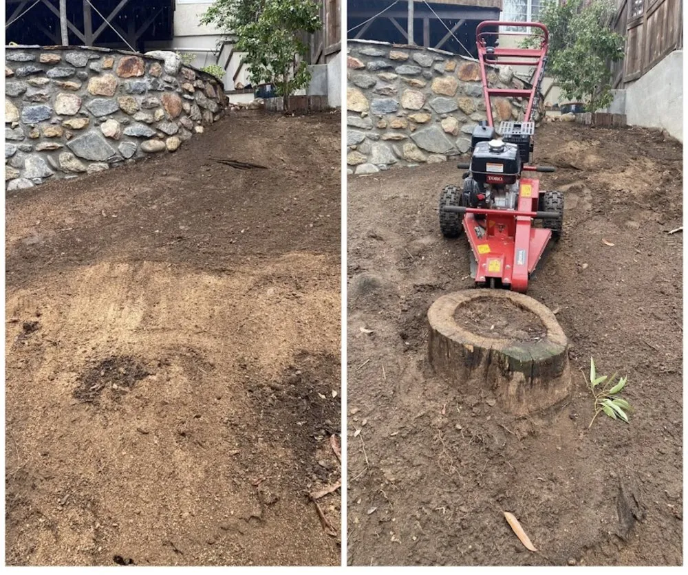 Reliable lawn care service for homes in Rialto, CA by Versatile Establishment