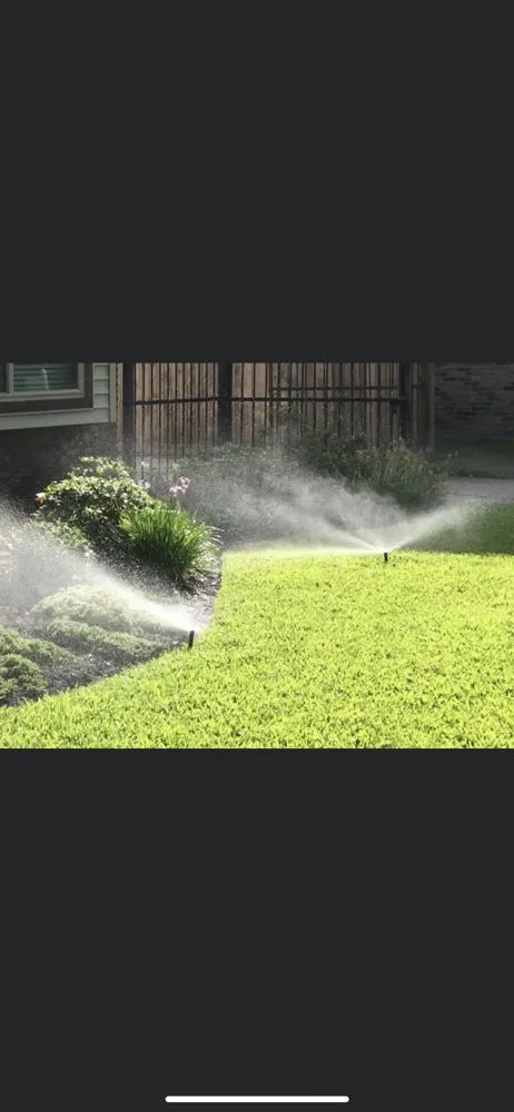 Professional garden landscaping in Rialto, CA - Versatile Establishment