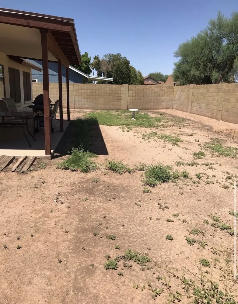 Trusted landscaping services for residential properties across Rialto, CA - Versatile Establishment