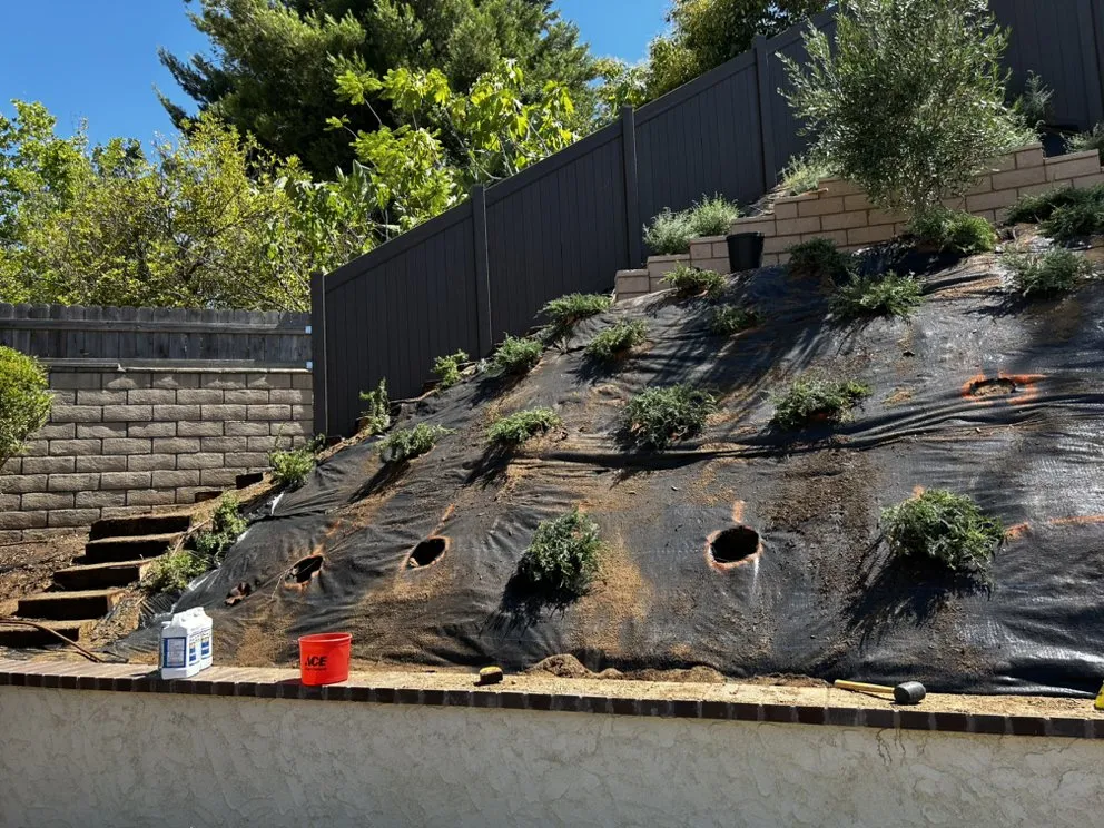 Trusted lawn mowing service with custom design across Rialto, CA - Versatile Establishment