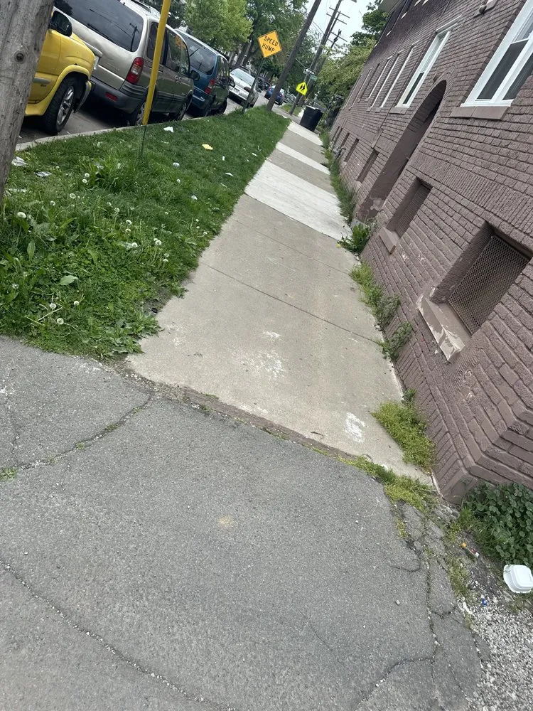 Local landscape installation for outdoor upgrades across Detroit, MI - Versatile Industries