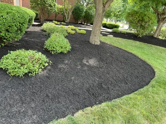 Versatile Landscapers